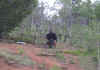 DSCN2794.JPG (94263 bytes)